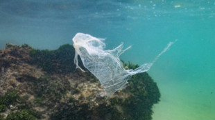 Pollution plastique: neuf grands groupes mis en demeure par des ONG