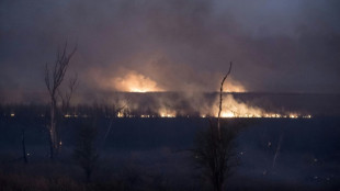 Incendios de pastizales afectan humedales en islas del delta del Paraná en Argentina