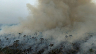 Climat: diminuez les émissions ou l'objectif de 1,5°C est "mort", met en garde l'ONU