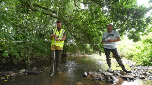 "Tout part de nous": les vigies de l'eau traquent la sécheresse en Bretagne