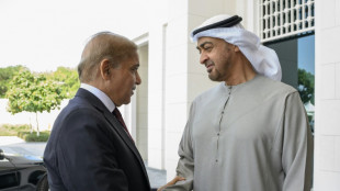 UAE agrees to roll over Pakistan debt, add $1 billion more