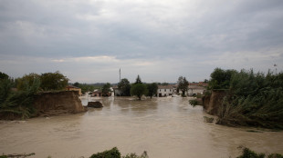 Catastrofi naturali, 'persi già 120 miliardi nel mondo in 2024'